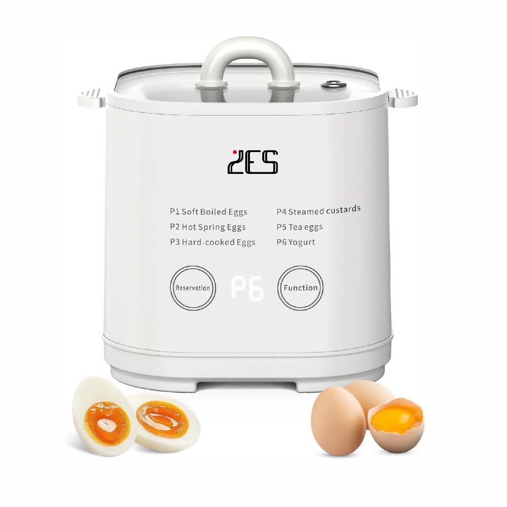 6 in 1 Egg Cooker