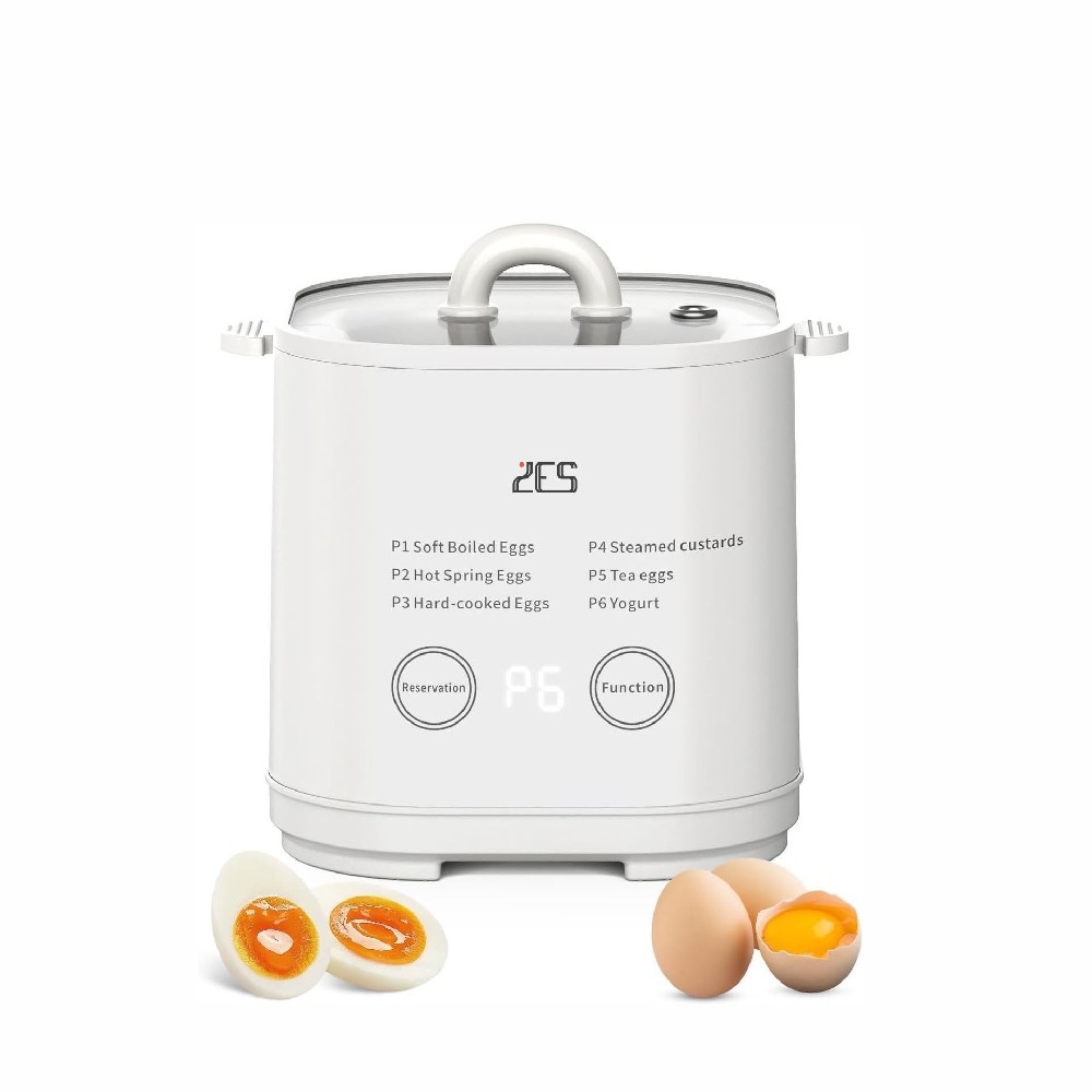 6 in 1 Egg Cooker